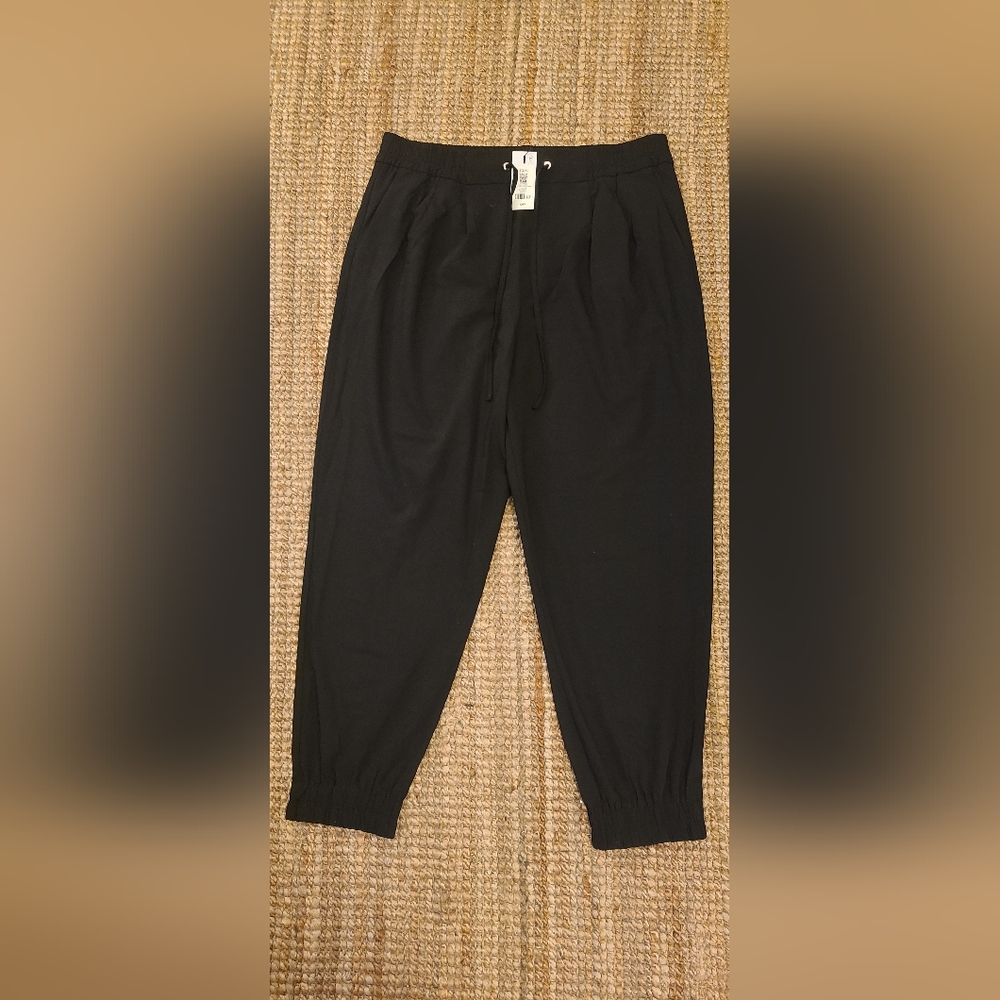 Dynamite Sacha Jogger